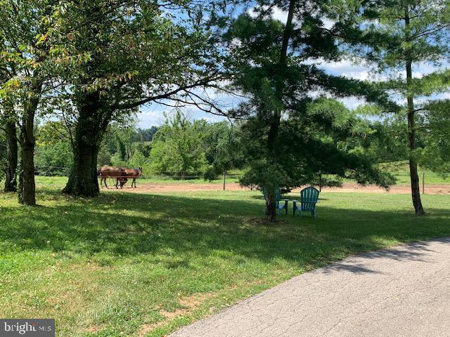 view of property's community with a lawn