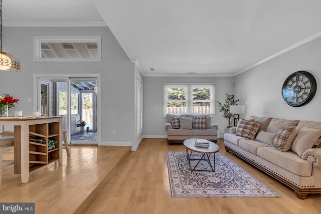 living room featuring crown molding and light hardwood / wood-style flooring