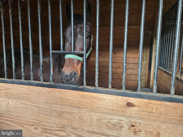 view of stable