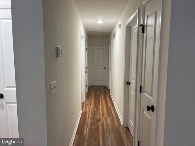 hallway featuring dark hardwood / wood-style flooring