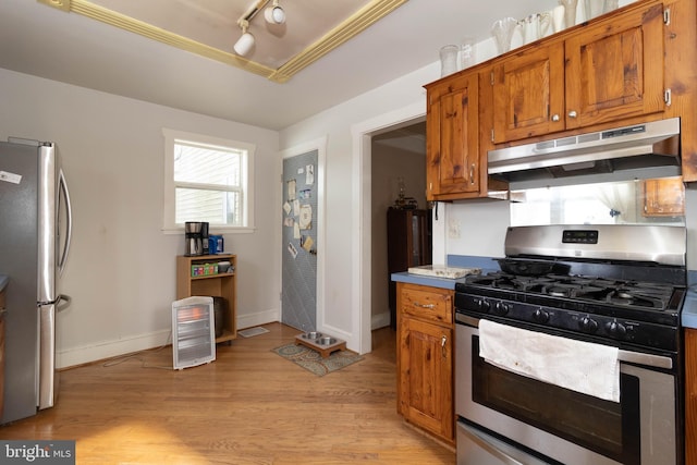 kitchen with a raised ceiling, appliances with stainless steel finishes, and light wood-type flooring