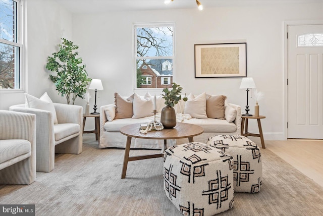 living room with light hardwood / wood-style flooring