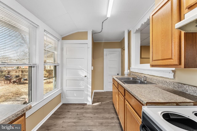 kitchen featuring hardwood / wood-style flooring, sink, and range