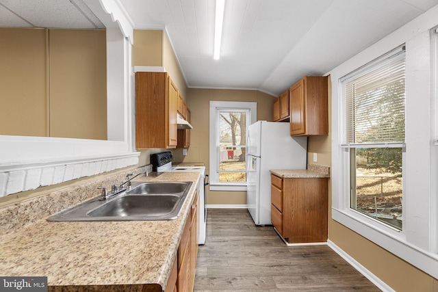 kitchen featuring lofted ceiling, sink, light hardwood / wood-style flooring, electric range, and white fridge