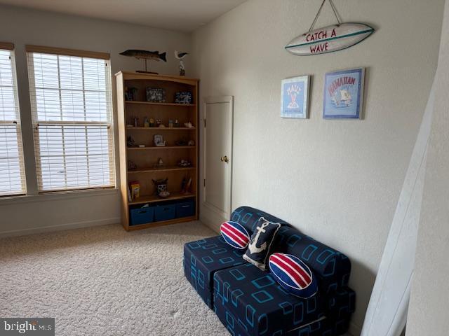 living area with carpet floors