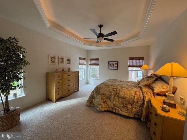 bedroom featuring ceiling fan, light colored carpet, a tray ceiling, and ornamental molding