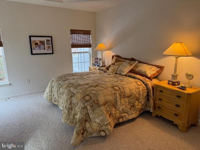 bedroom featuring multiple windows and light carpet