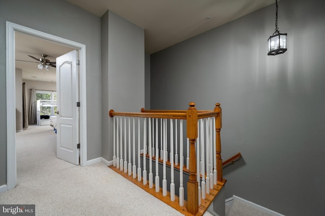 corridor with carpet floors