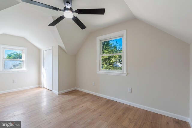 additional living space with lofted ceiling, light hardwood / wood-style floors, and a wealth of natural light