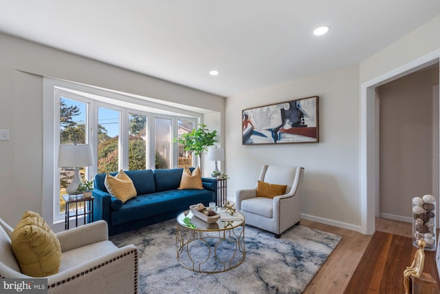 living room featuring hardwood / wood-style floors