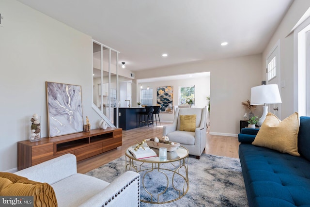 living room with wood-type flooring