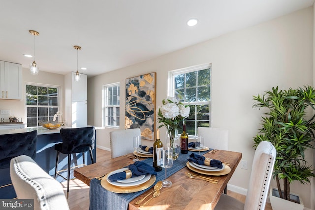 dining room featuring a wealth of natural light and light hardwood / wood-style floors