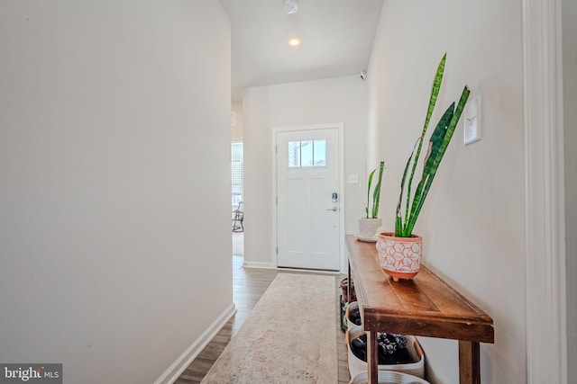 foyer entrance with hardwood / wood-style floors