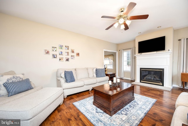 living room featuring ceiling fan and dark hardwood / wood-style flooring