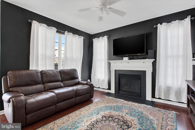 living room with ceiling fan and dark hardwood / wood-style floors