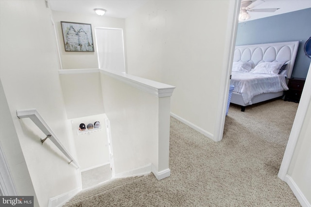 clothes washing area with light carpet