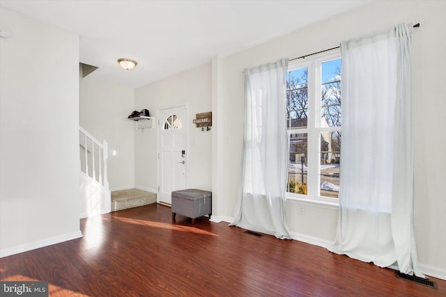 foyer with dark wood-type flooring and a wealth of natural light