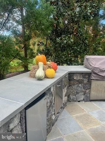 view of patio with exterior kitchen