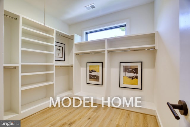 spacious closet with hardwood / wood-style flooring