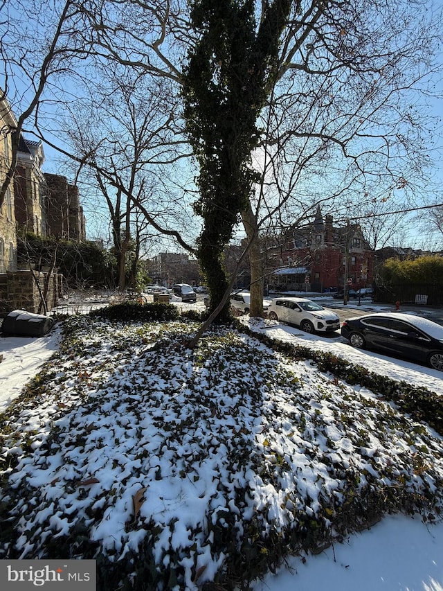 view of yard layered in snow