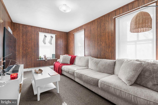 carpeted living room featuring a baseboard radiator and wood walls