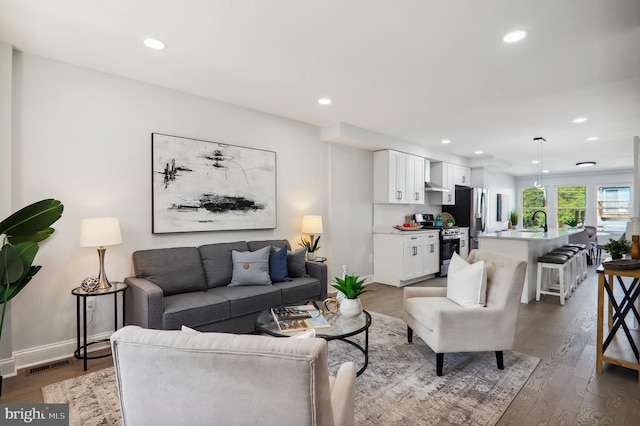 living room featuring dark wood-type flooring and sink