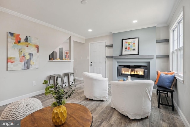 living room featuring crown molding and hardwood / wood-style floors