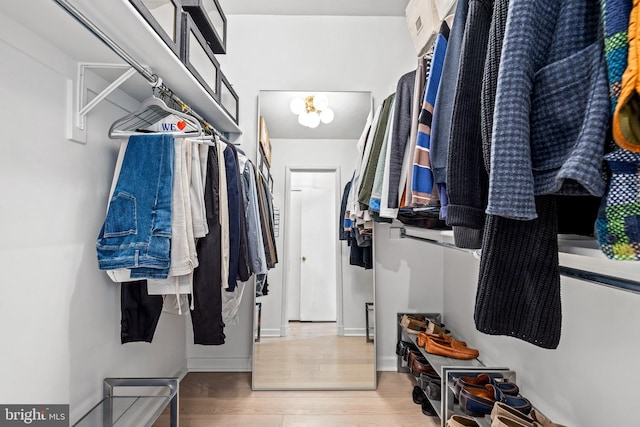 spacious closet featuring hardwood / wood-style flooring