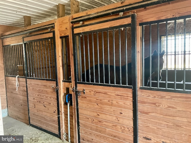 view of horse barn