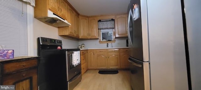 kitchen featuring sink, light hardwood / wood-style floors, and appliances with stainless steel finishes