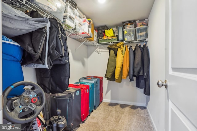 walk in closet with carpet flooring