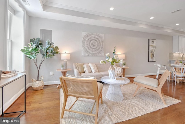 living room featuring crown molding, light wood-type flooring, and plenty of natural light