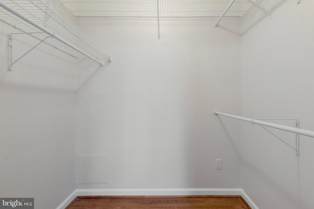 spacious closet with wood-type flooring