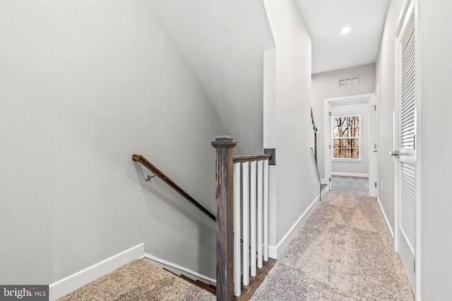 staircase with carpet floors