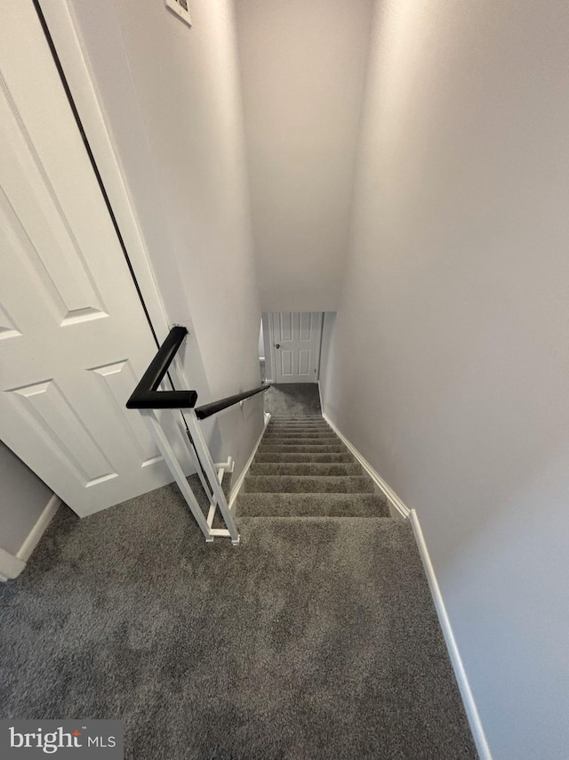 stairway with carpet flooring