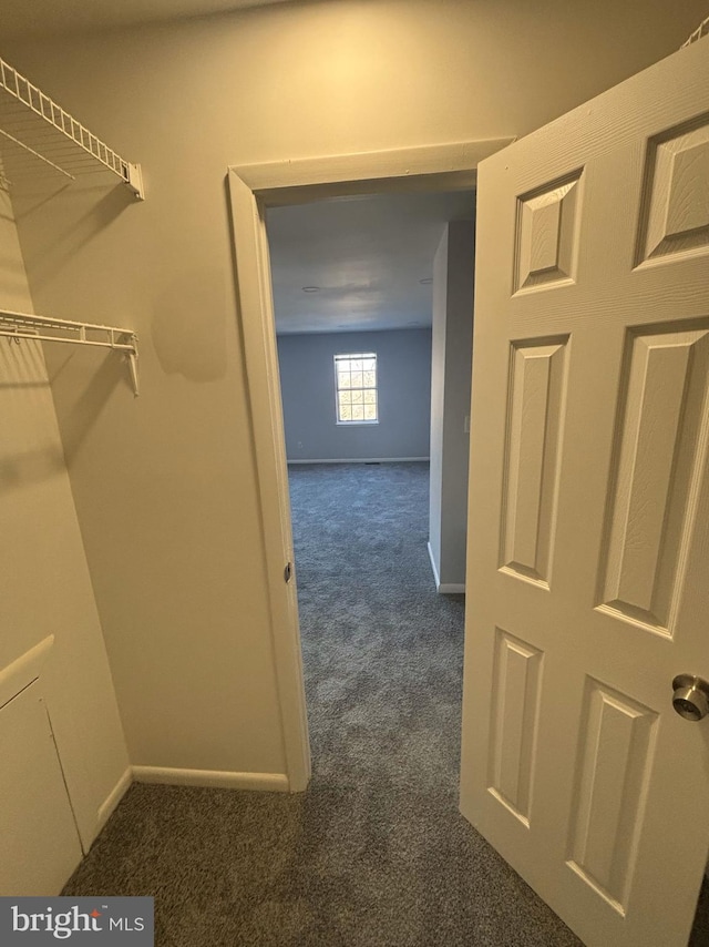 walk in closet featuring dark colored carpet