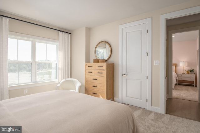 carpeted bedroom with multiple windows