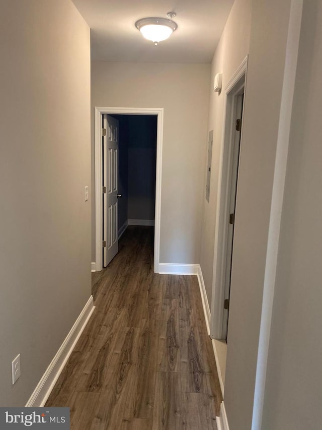 hallway featuring dark hardwood / wood-style floors