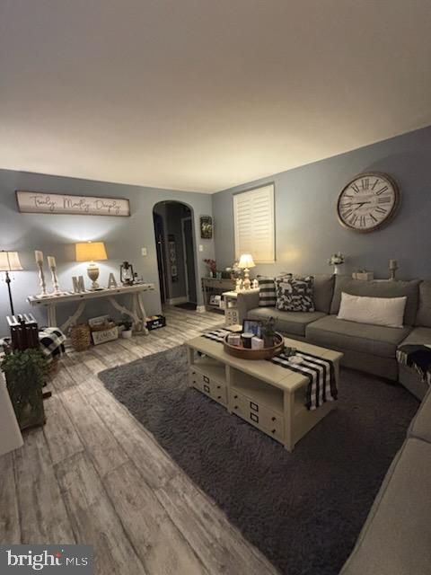 living room featuring hardwood / wood-style floors