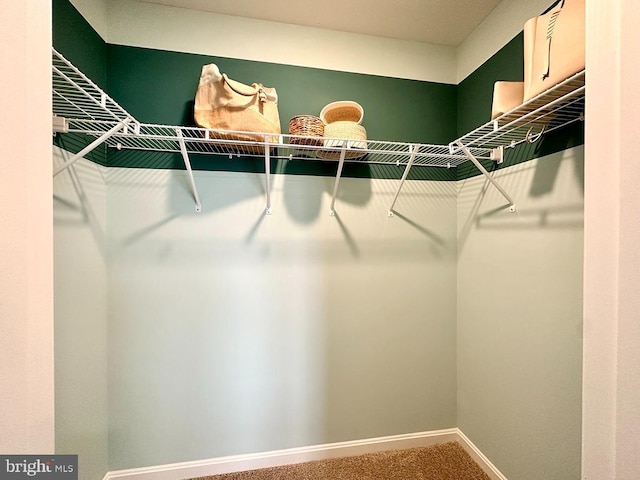 walk in closet with carpet flooring