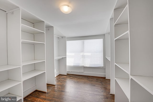 spacious closet featuring dark hardwood / wood-style flooring