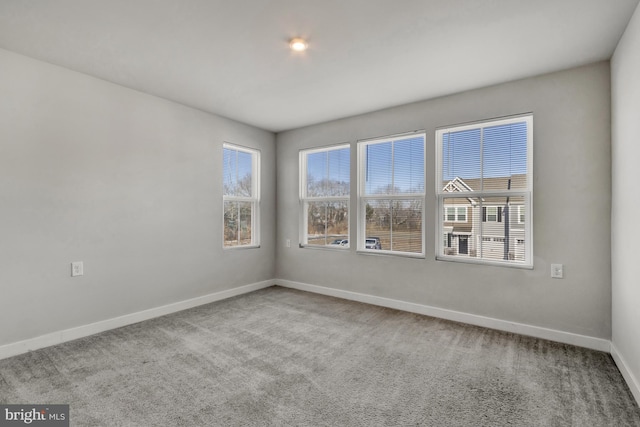 unfurnished room featuring carpet