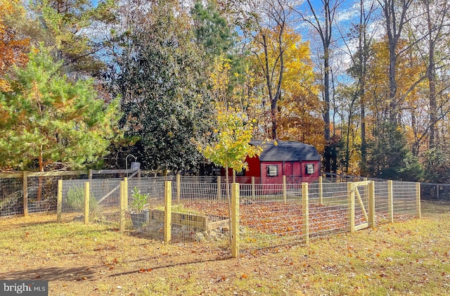 view of yard with a shed