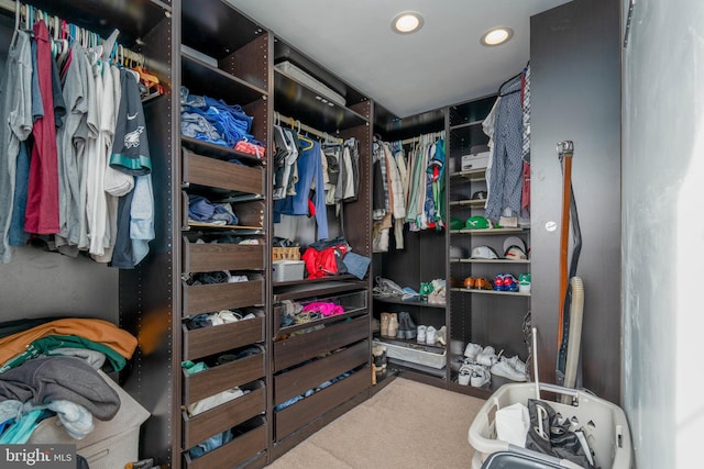 spacious closet with carpet