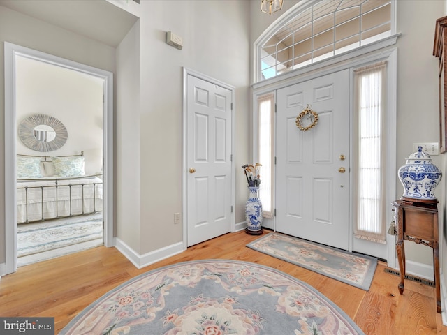 foyer entrance featuring hardwood / wood-style flooring and a wealth of natural light