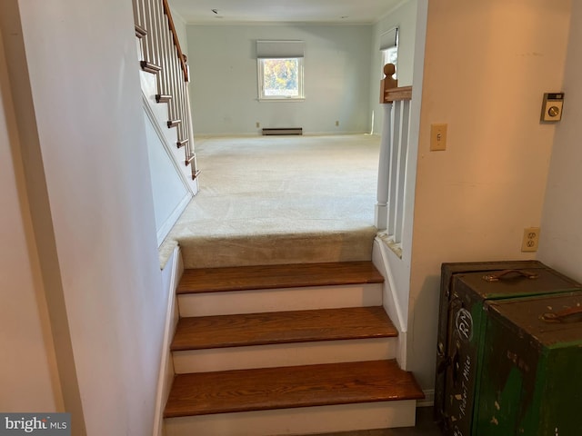 stairs featuring carpet and a baseboard heating unit