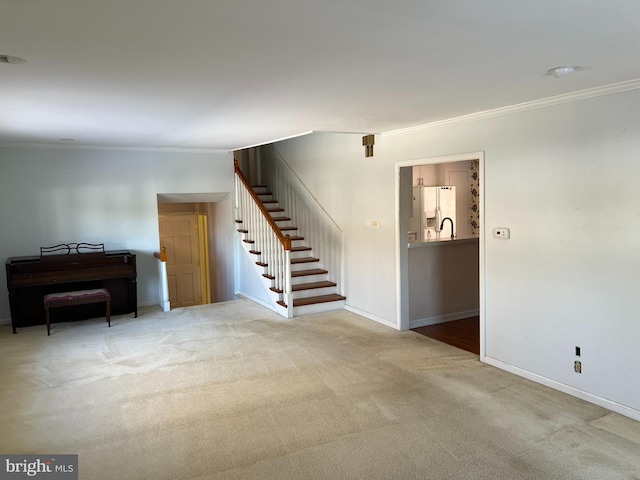 interior space featuring ornamental molding and carpet flooring