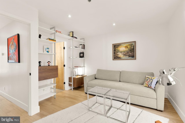 living room featuring hardwood / wood-style flooring