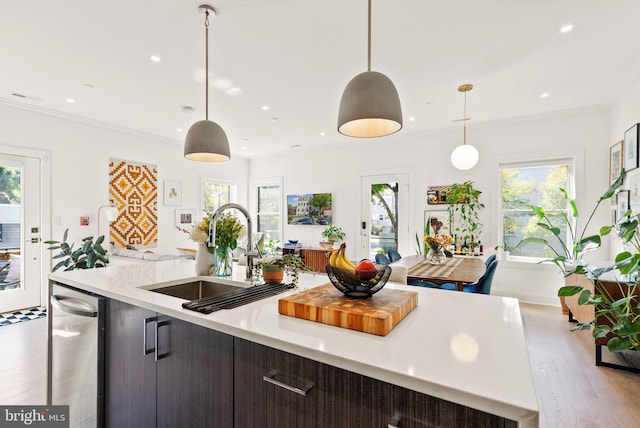 kitchen featuring pendant lighting, sink, ornamental molding, light wood-type flooring, and dark brown cabinets