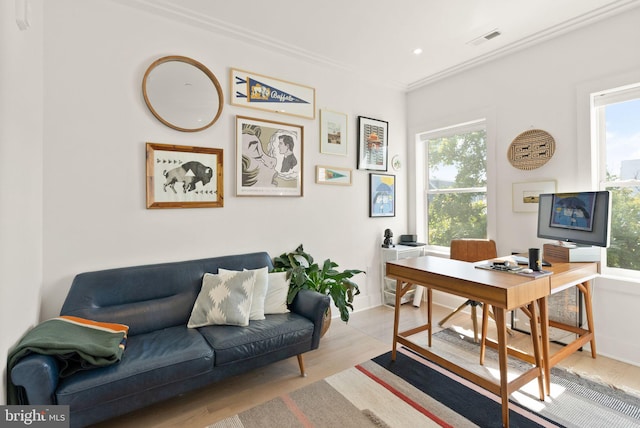 office with light wood-type flooring, a wealth of natural light, and crown molding